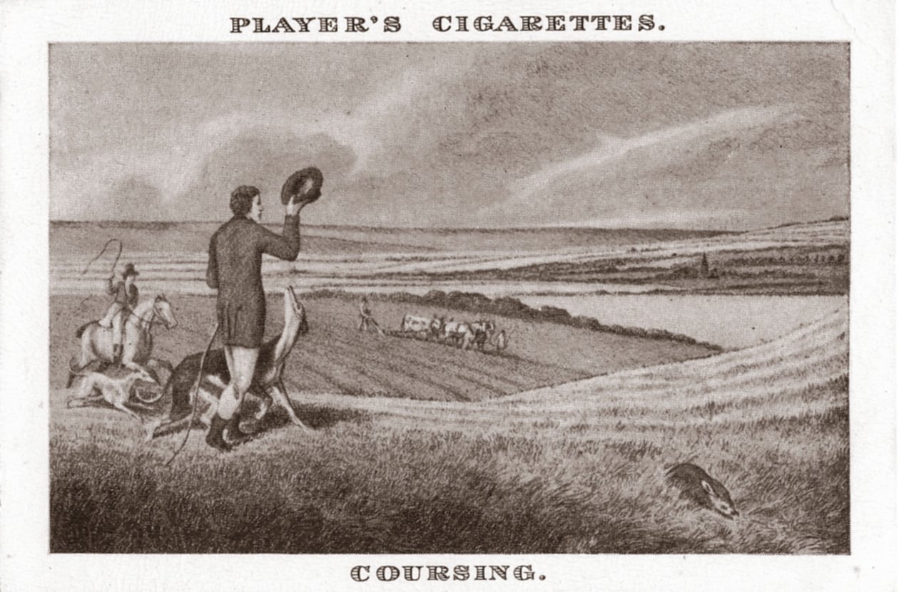 Coursing-1, 1924. alkotó: Unbekannt