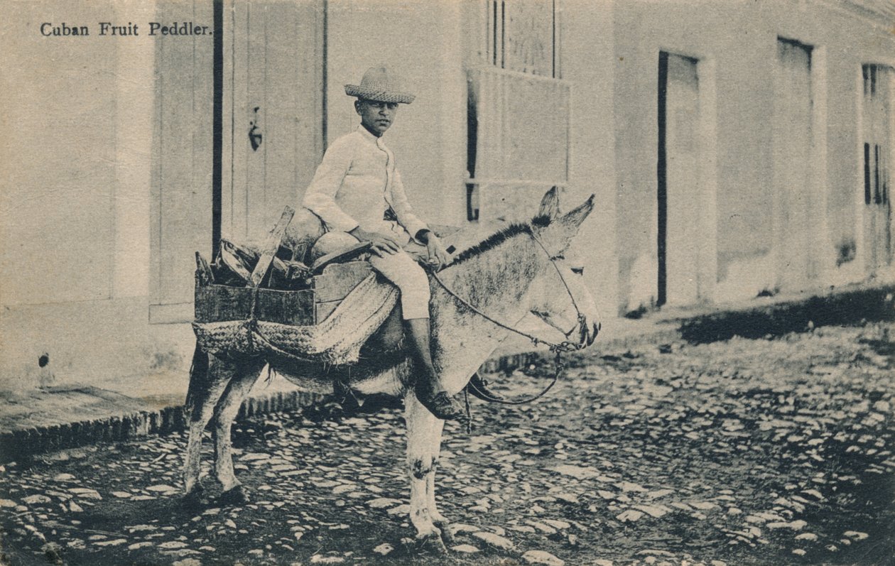 Kubai gyümölcsárus, c1908 alkotó: Unbekannt