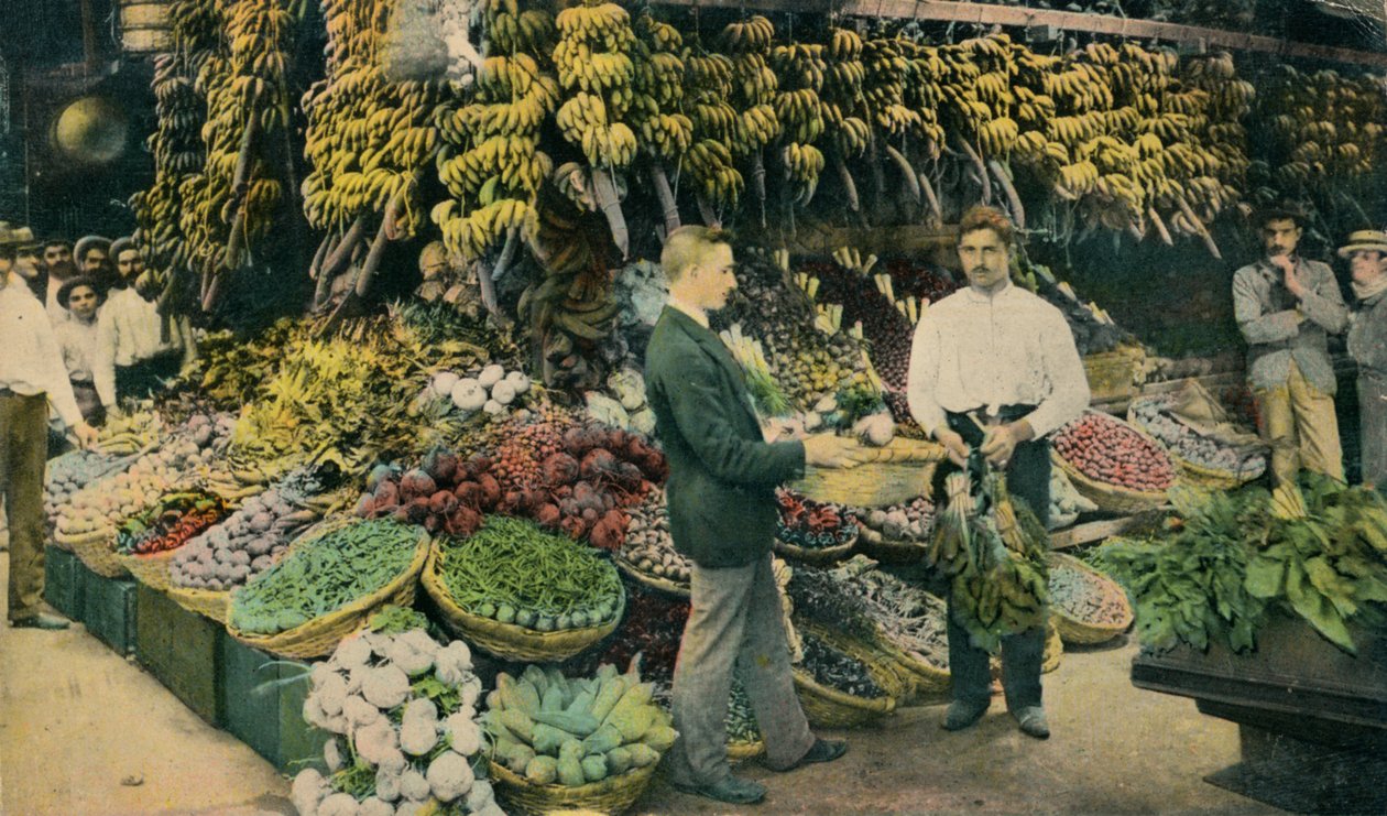 Kubai Gyümölcsbolt, c1910 alkotó: Unbekannt