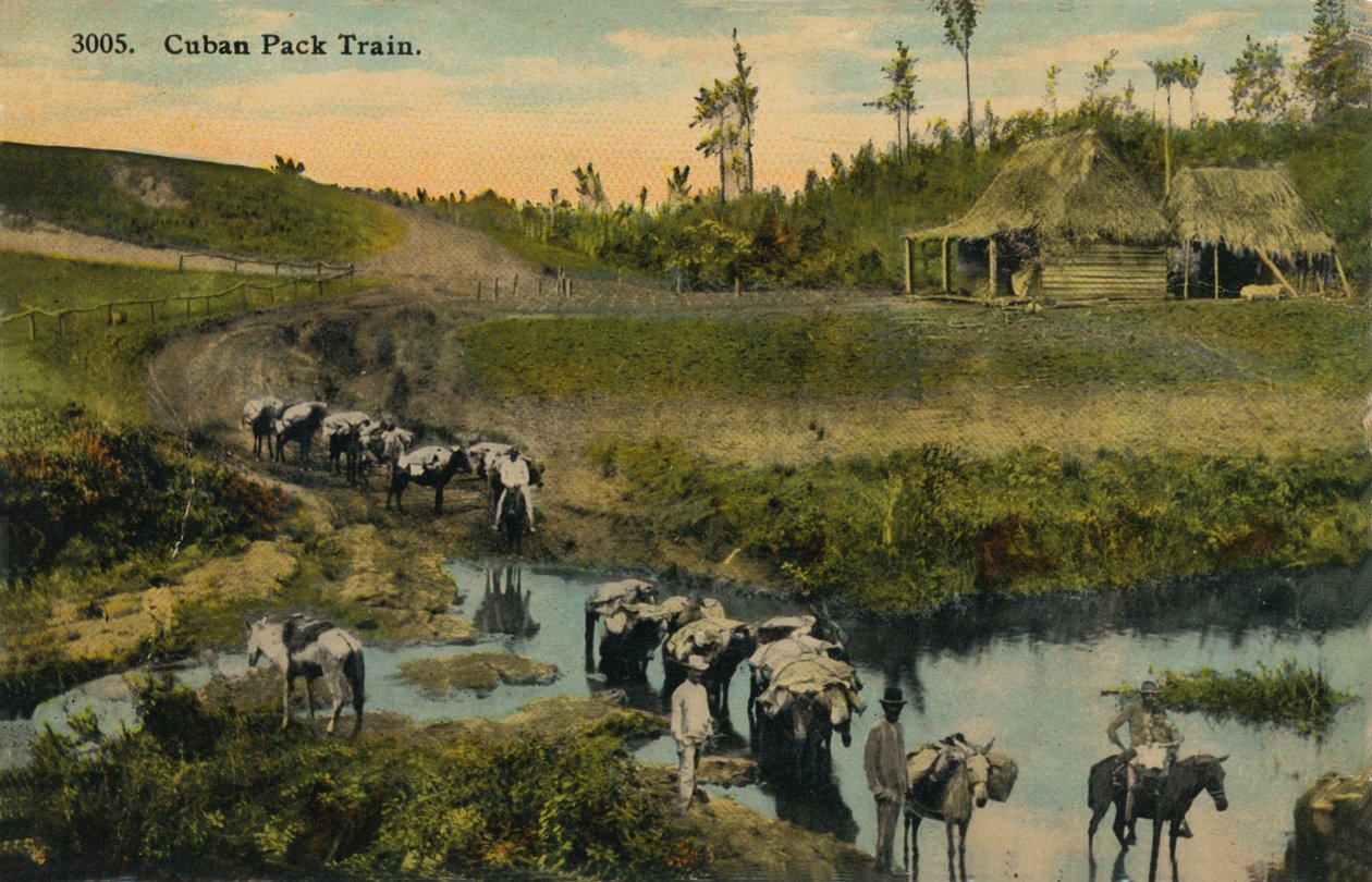 Cuban Pack Train, c1910 alkotó: Unbekannt