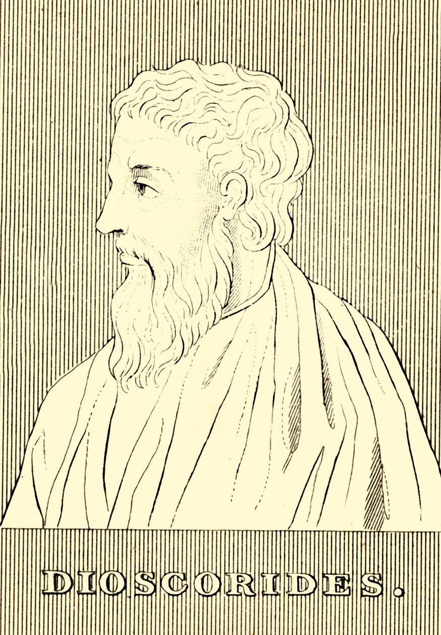 Dioscorides, i.sz. 40-90, 1830 alkotó: Unbekannt