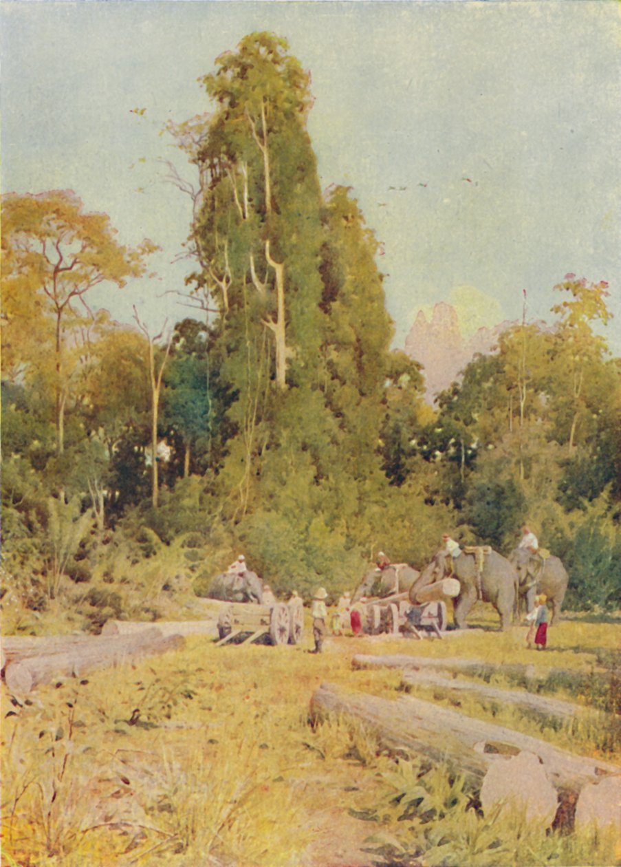 Teakfa elefántok, 1924 alkotó: Unbekannt