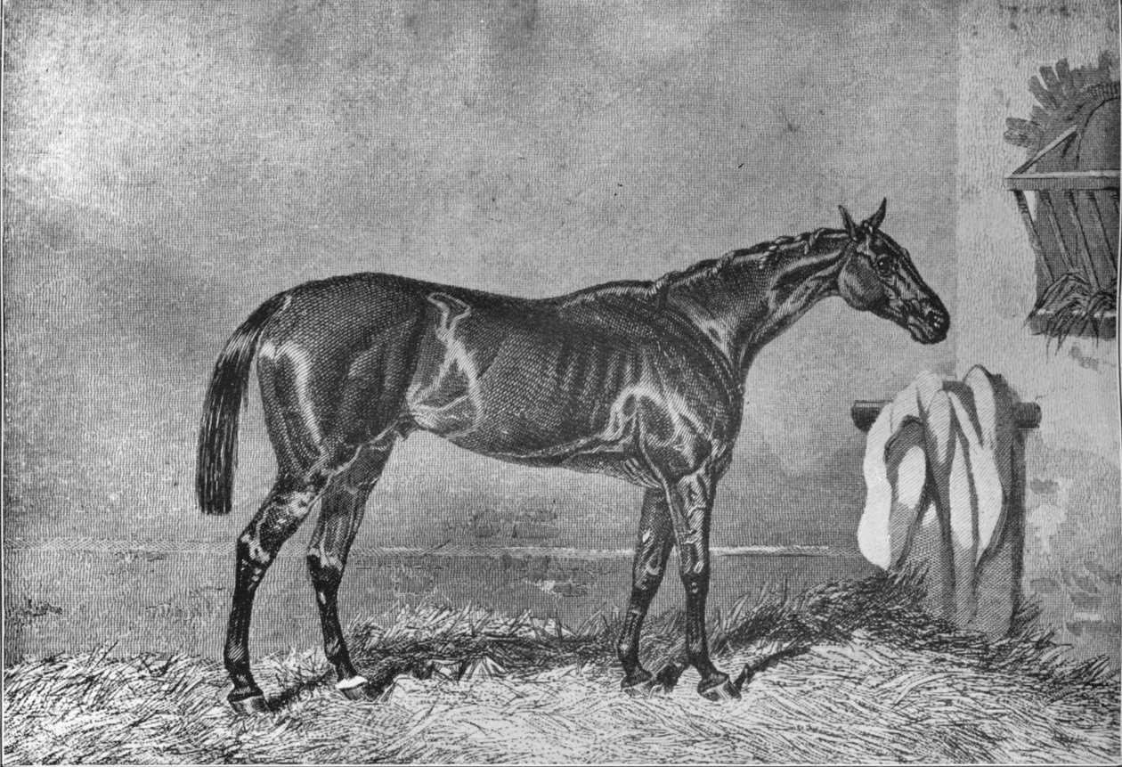 Ellington, 1853-1870, 1911 alkotó: Unbekannt