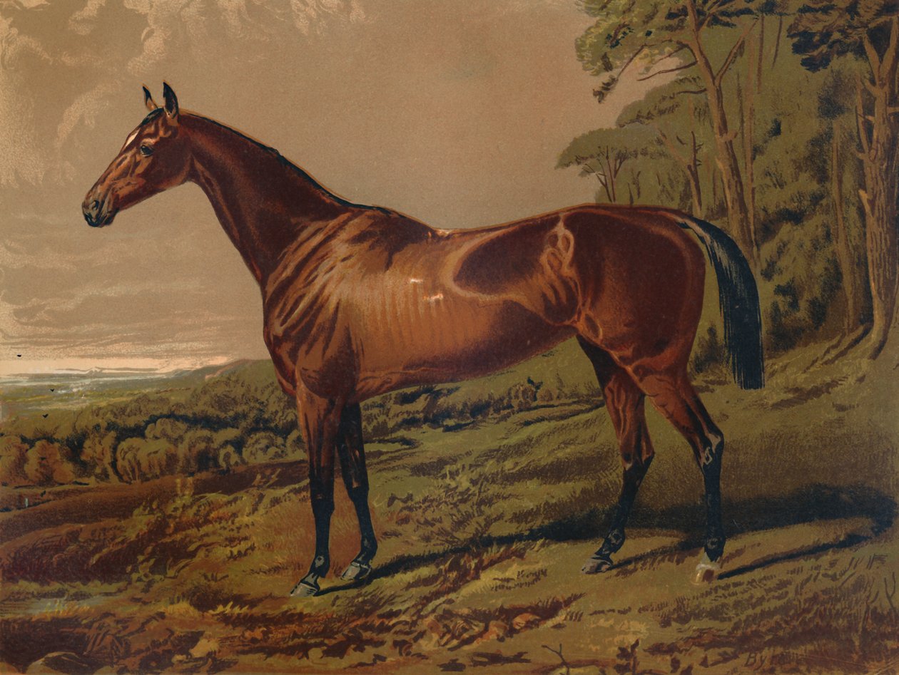 Fair Nell, 1879. alkotó: Unbekannt