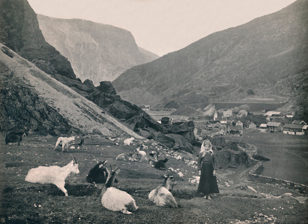 Flaam, 1914. alkotó: Unbekannt