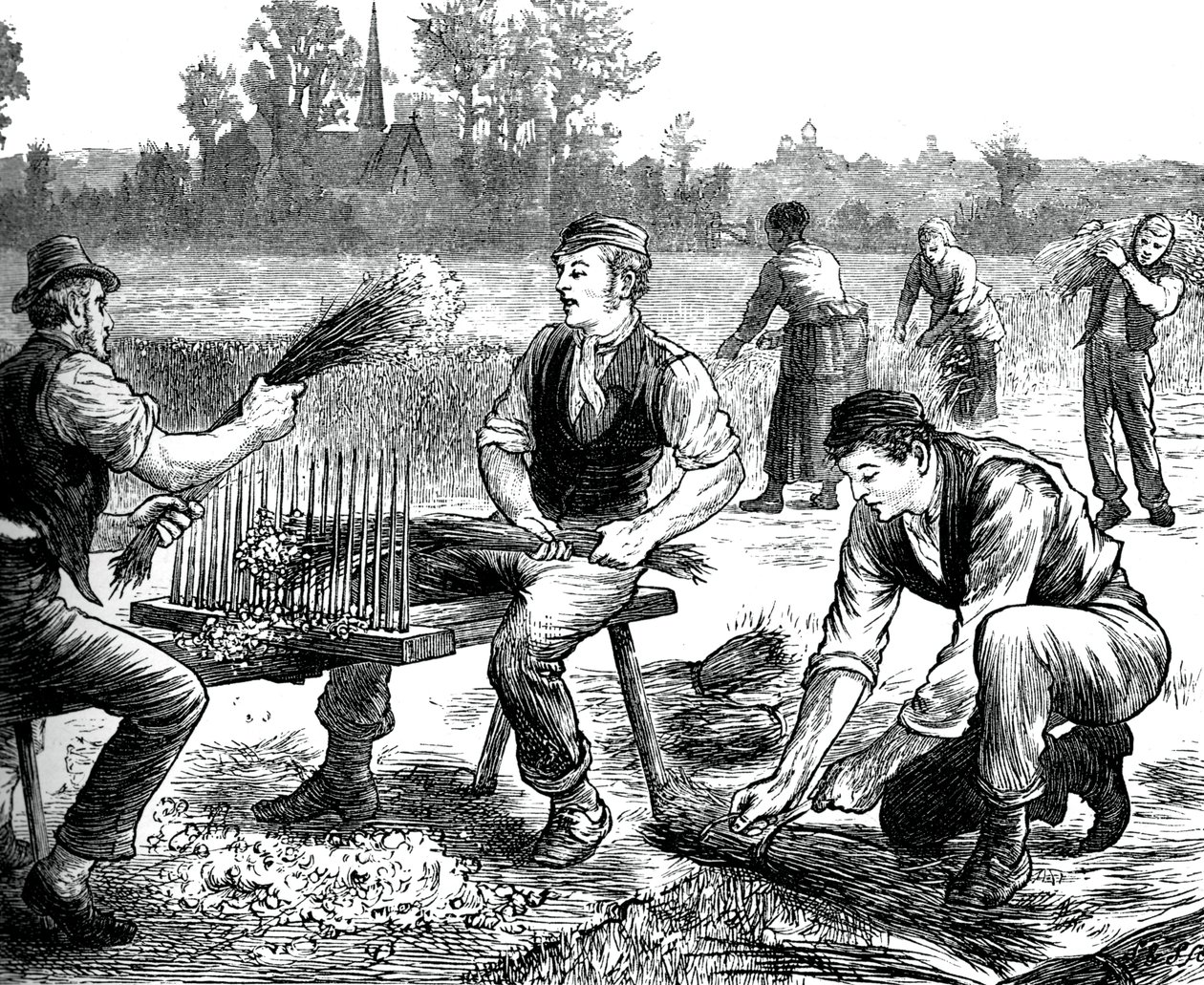 Lenhullámozás, c1880 alkotó: Unbekannt