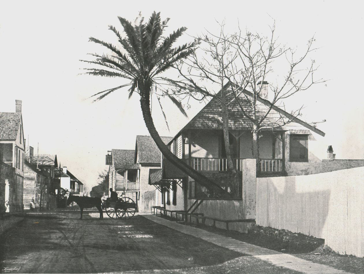 Francis Street, St Augustine, USA, 1895. alkotó: Unbekannt