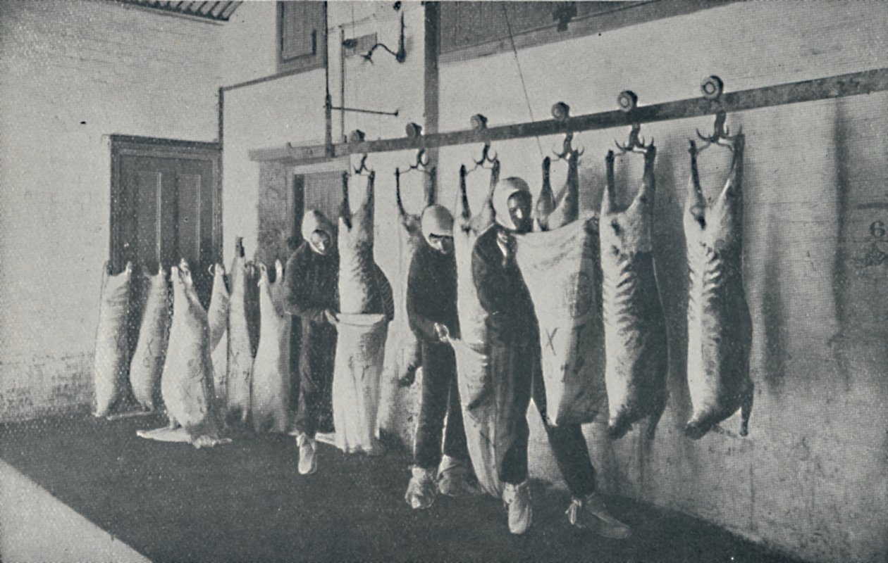 Fagyasztott hús, 1910 alkotó: Unbekannt