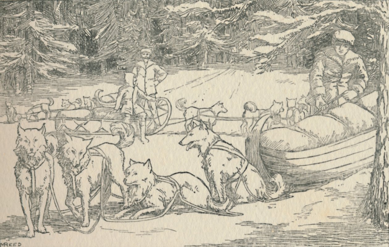 Szőrmecsapdák, 1924 alkotó: Unbekannt