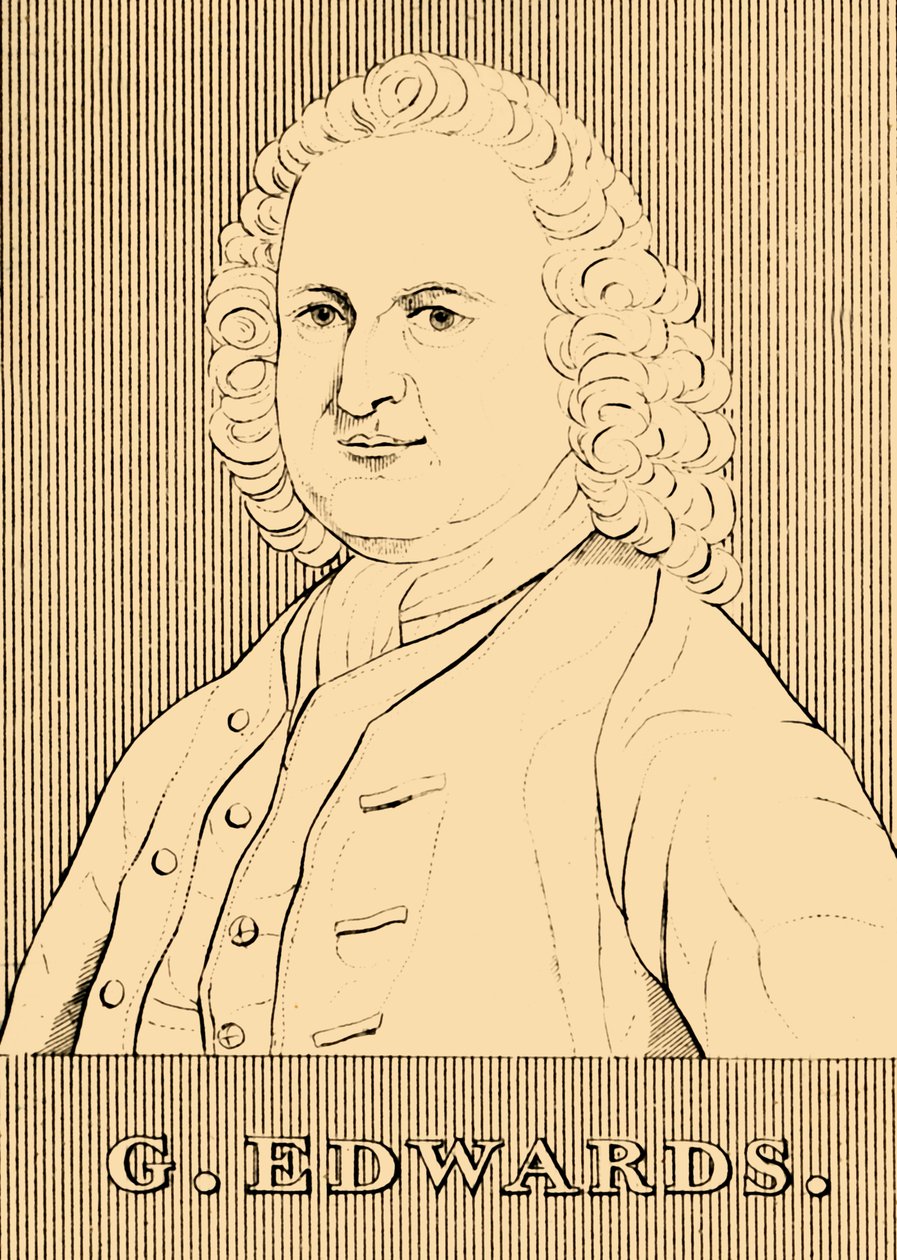 G. Edwards, 1694-1773, 1830. alkotó: Unbekannt