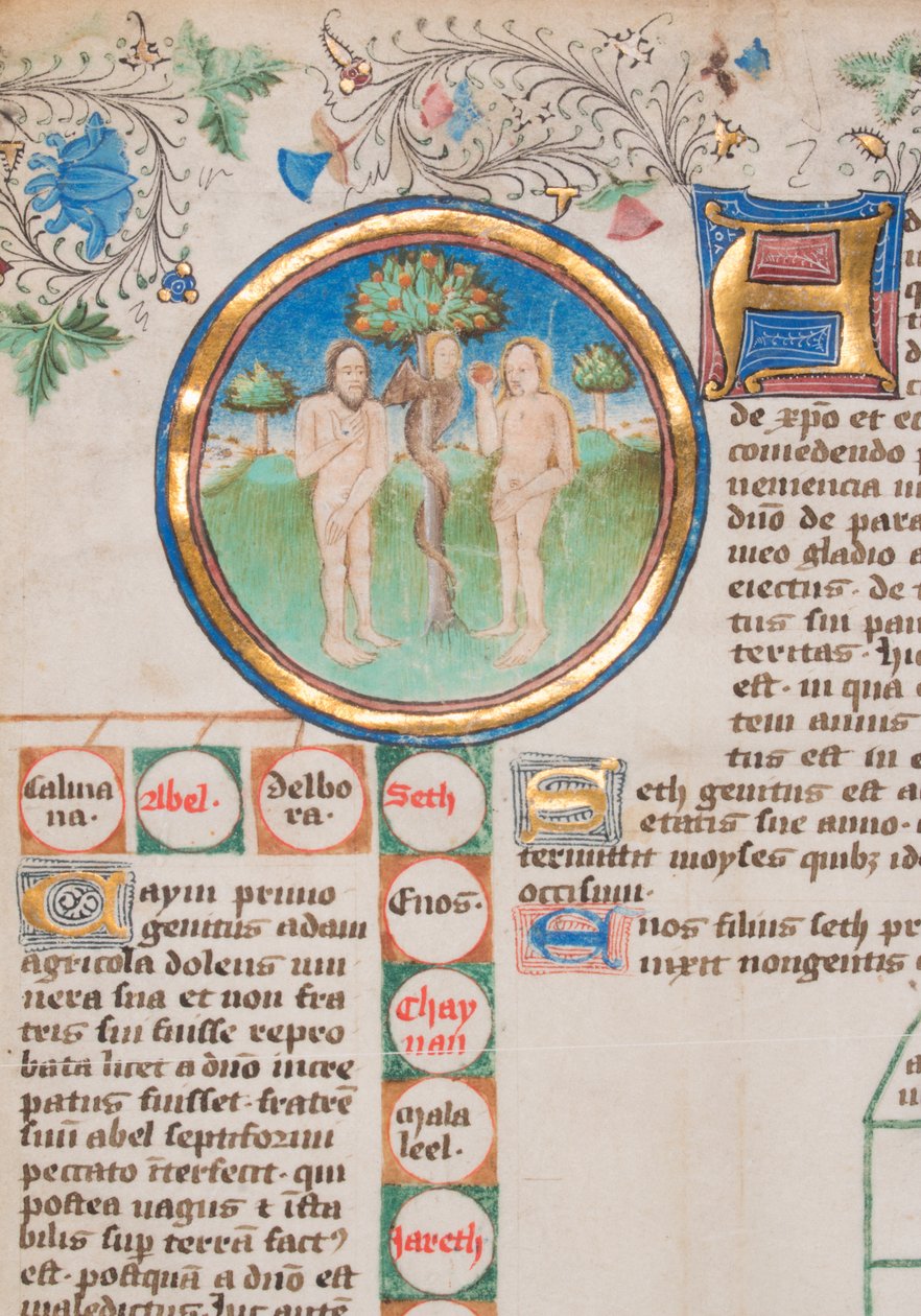 Anglia királyainak genealógiai krónikája, 1466-67. alkotó: Unbekannt