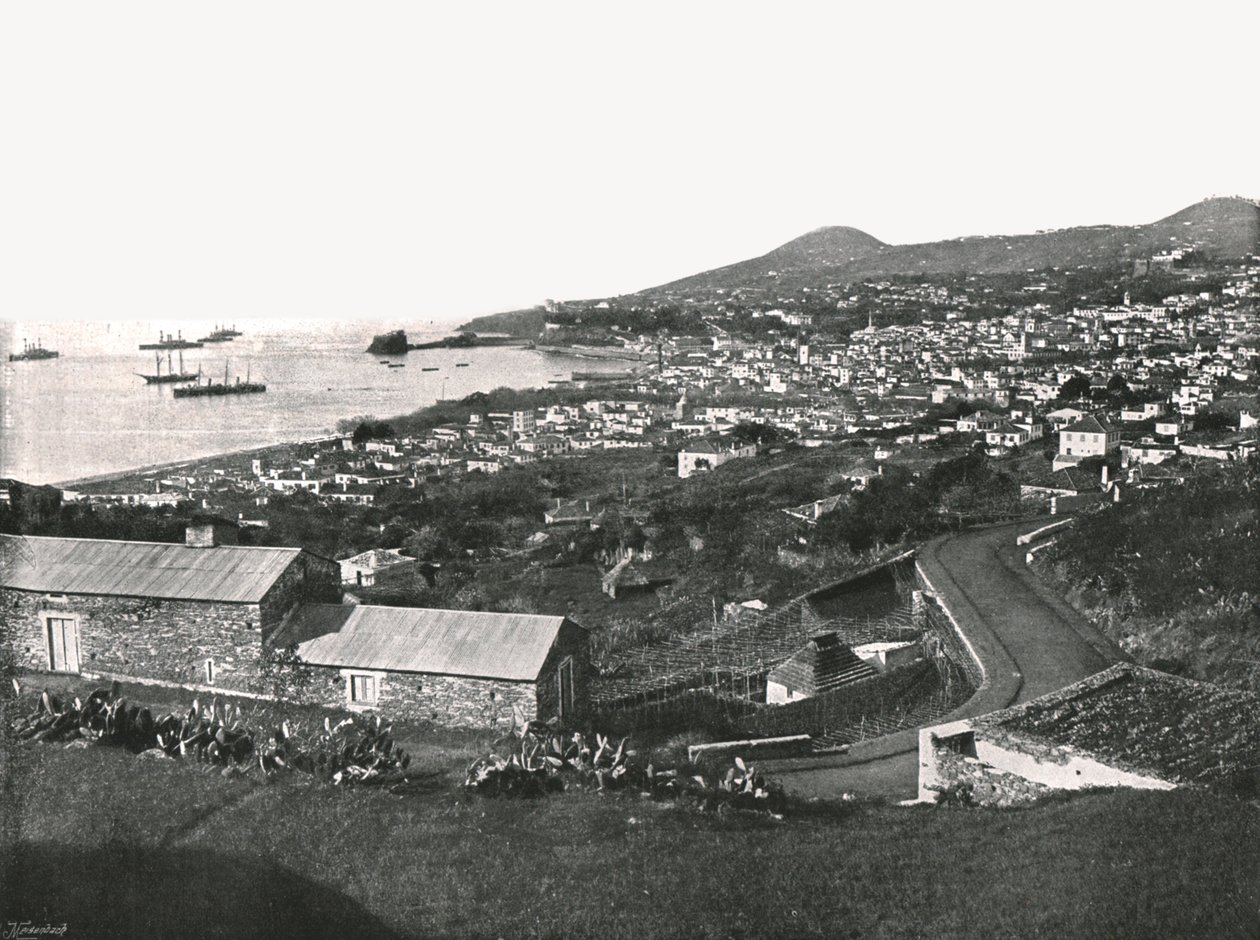 Funchal, Madeira, Portugália általános képe, 1895. alkotó: Unbekannt