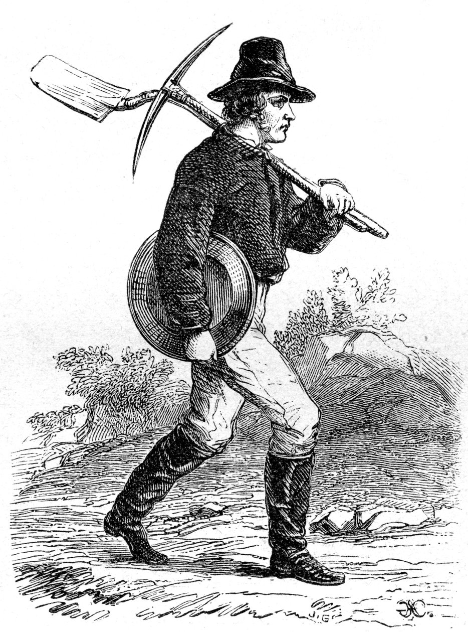 Gold Miner, Kalifornia, 19. század alkotó: Unbekannt
