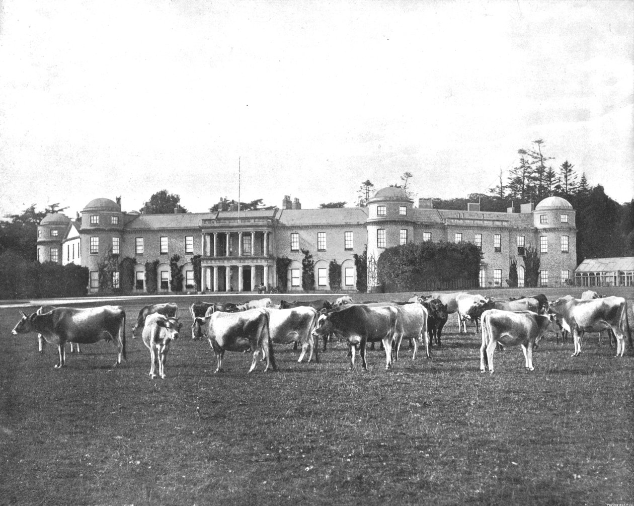 Goodwood, Hampshire, 1894. alkotó: Unbekannt