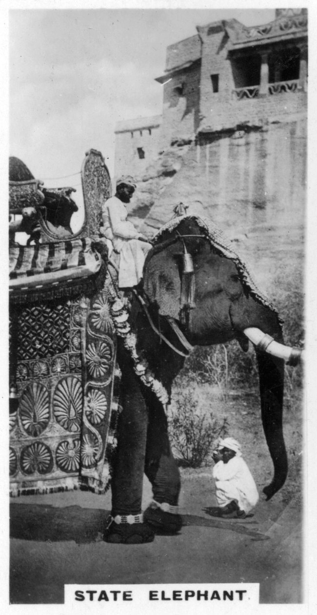 Kormányzati elefánt állami jelmezben, Dél-India, 1925 alkotó: Unbekannt