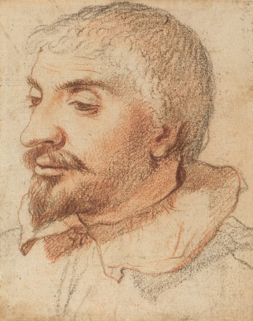 Egy ember feje, c. 1600. alkotó: Unbekannt