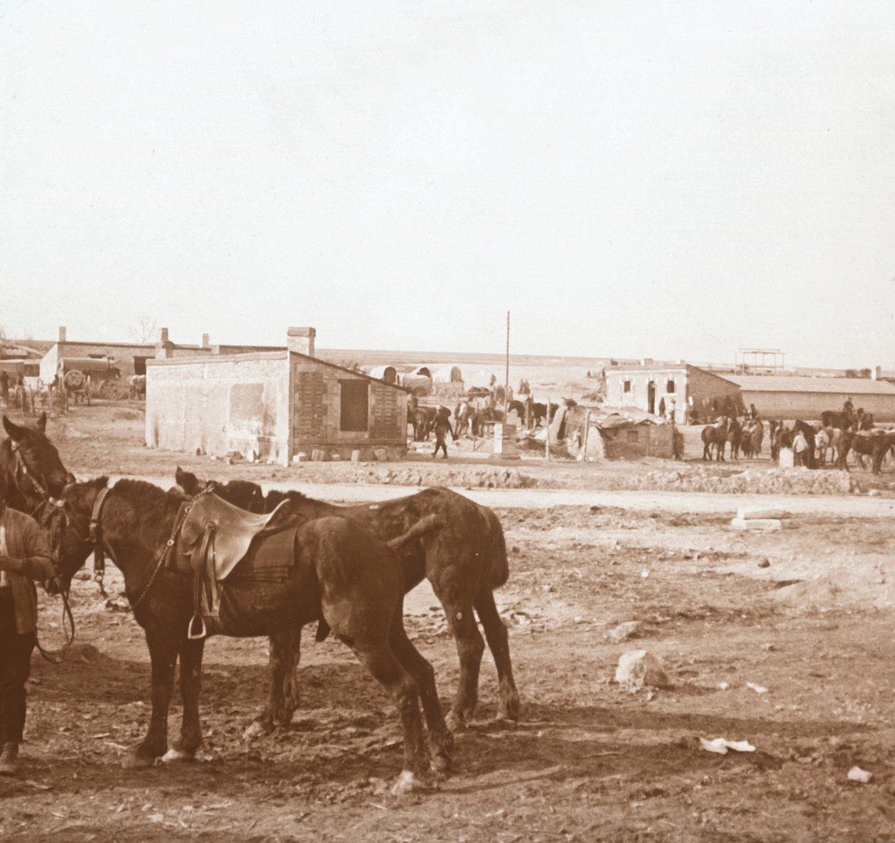 Horses, Somme-Tourbe, Észak-Franciaország, c1914-c1918 alkotó: Unbekannt