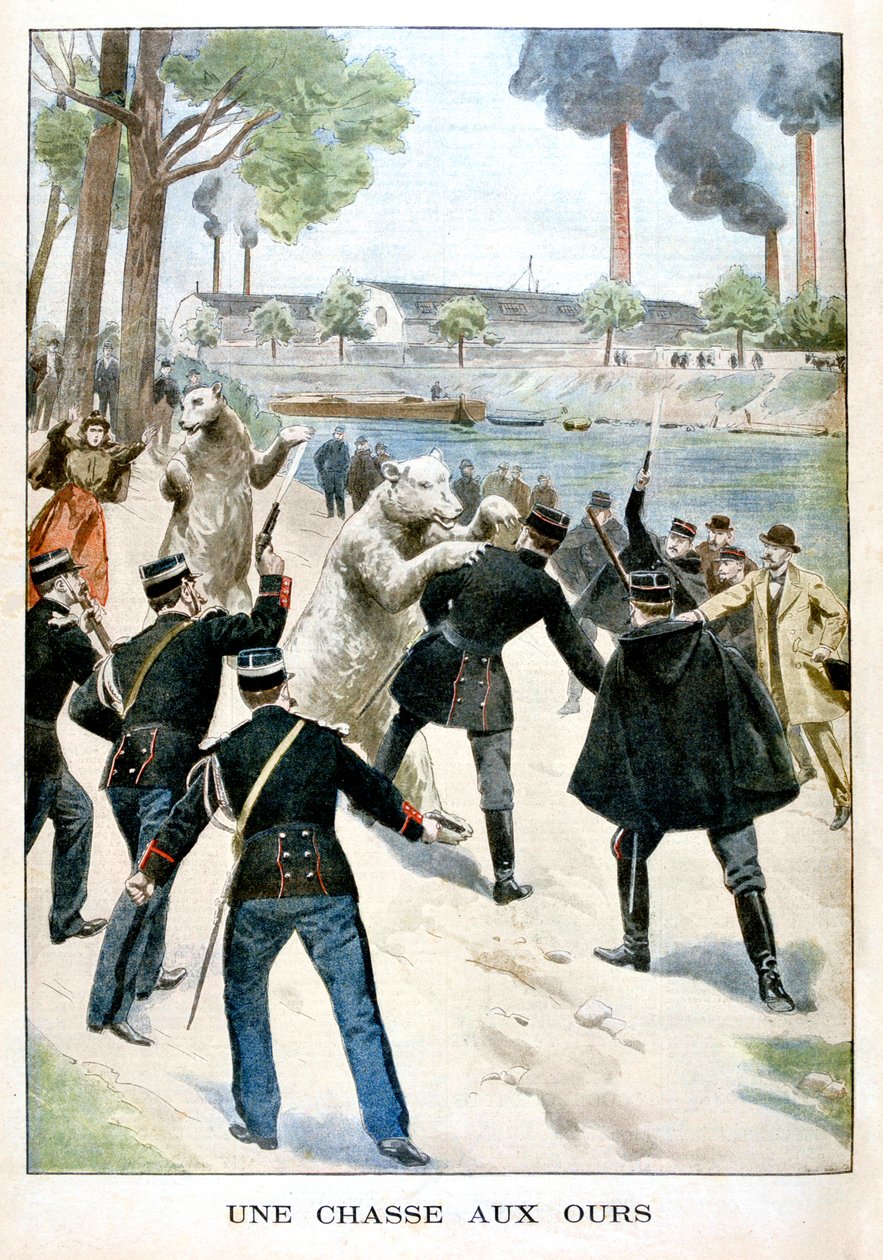 Medvévadászat, 1901 alkotó: Unbekannt