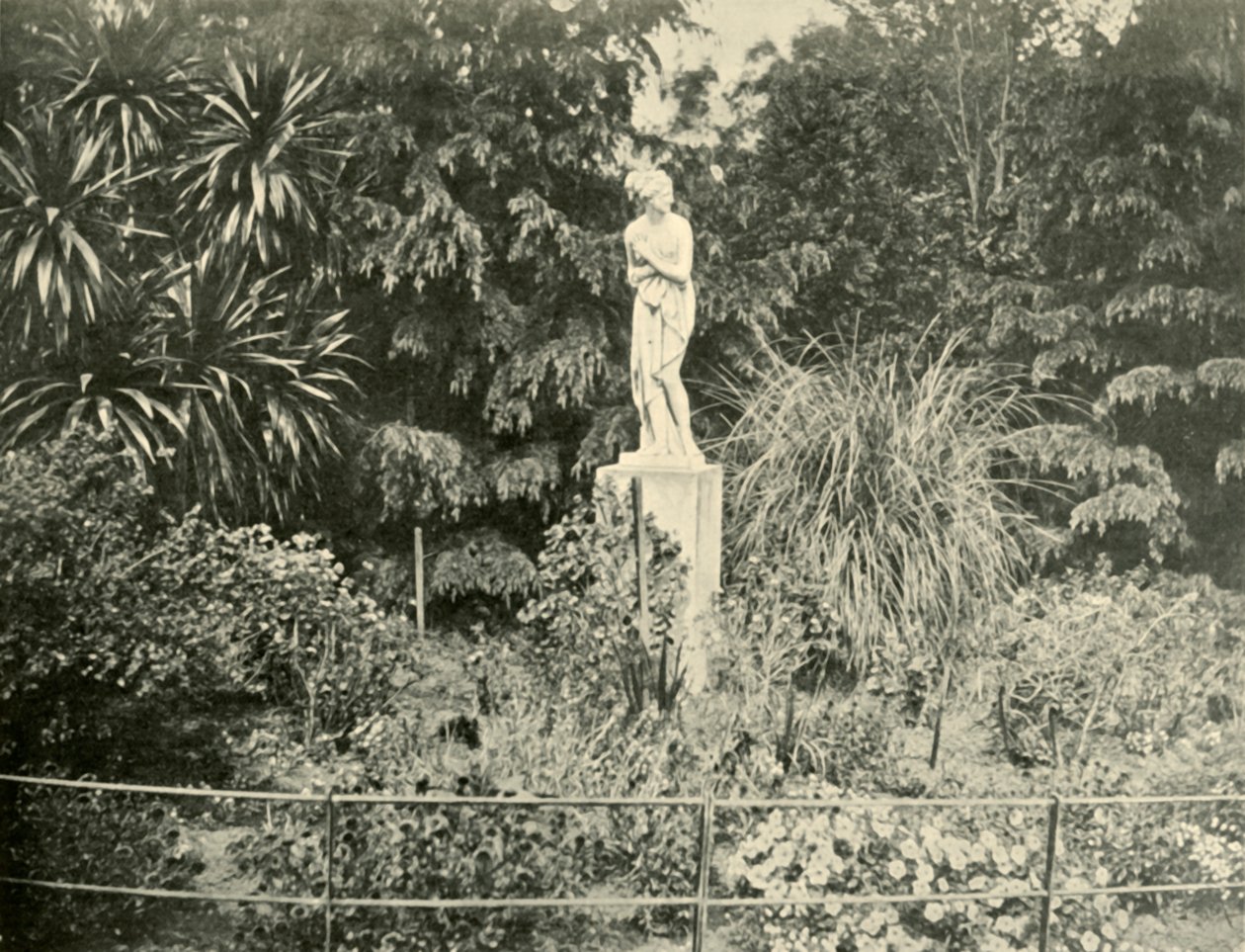 A Fitzroy Gardensben, Melbourne, 1901. alkotó: Unbekannt