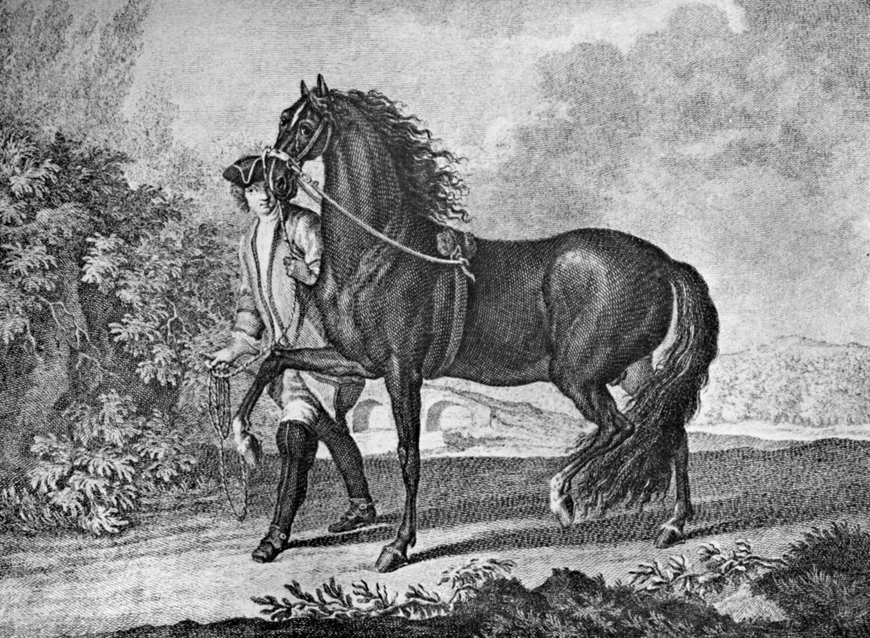 Olasz nápolyi ló, 1722 1938 alkotó: Unbekannt