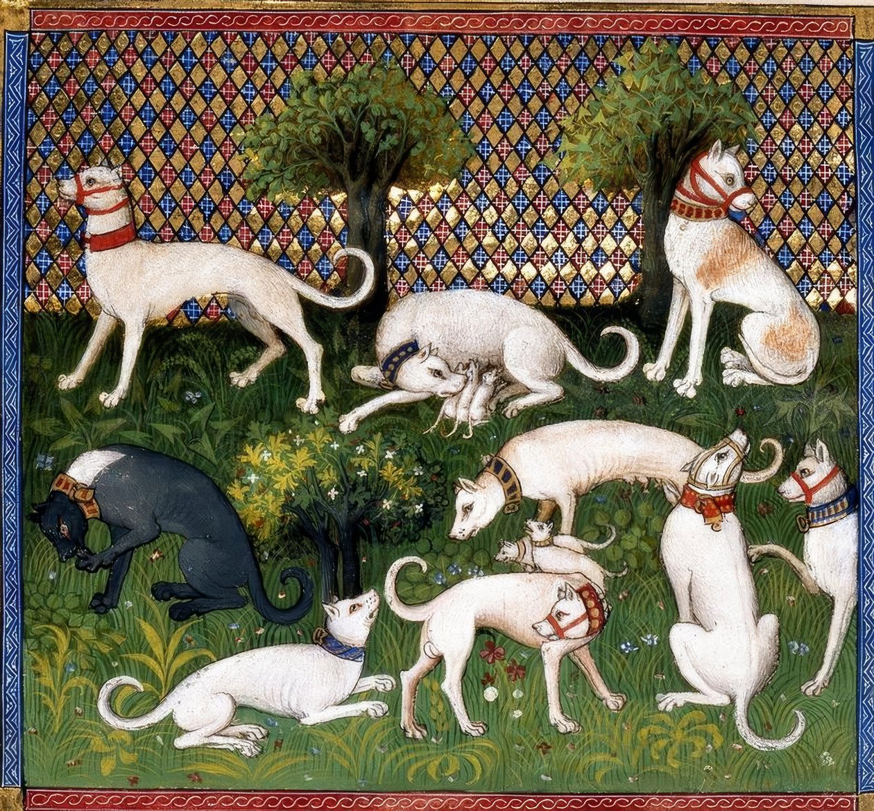 Jagdhunde (Alan) / A vadászat könyve alkotó: Unbekannt