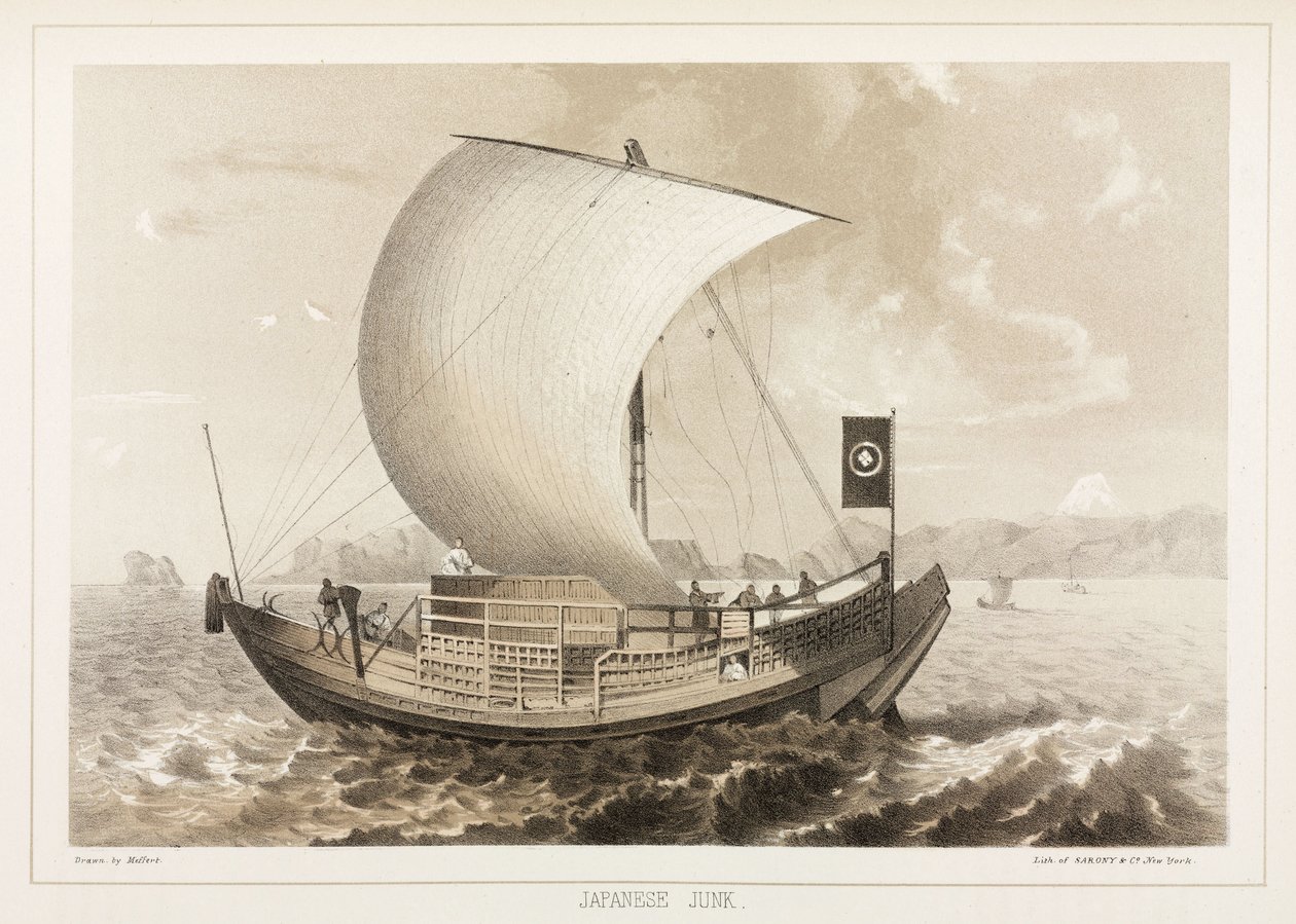 Japán szemét (Jonque), c 1853-1856 alkotó: Unbekannt
