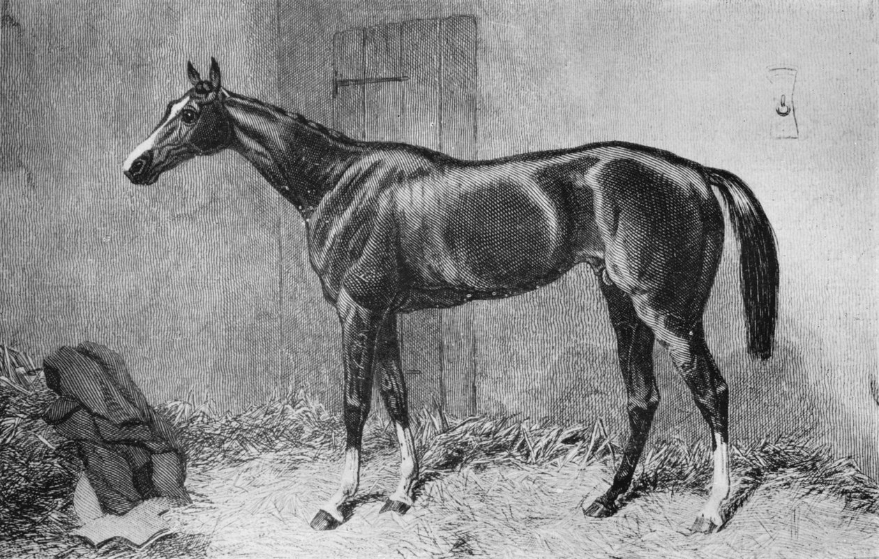 Kettledrum, 1860-as évek, 1911 alkotó: Unbekannt