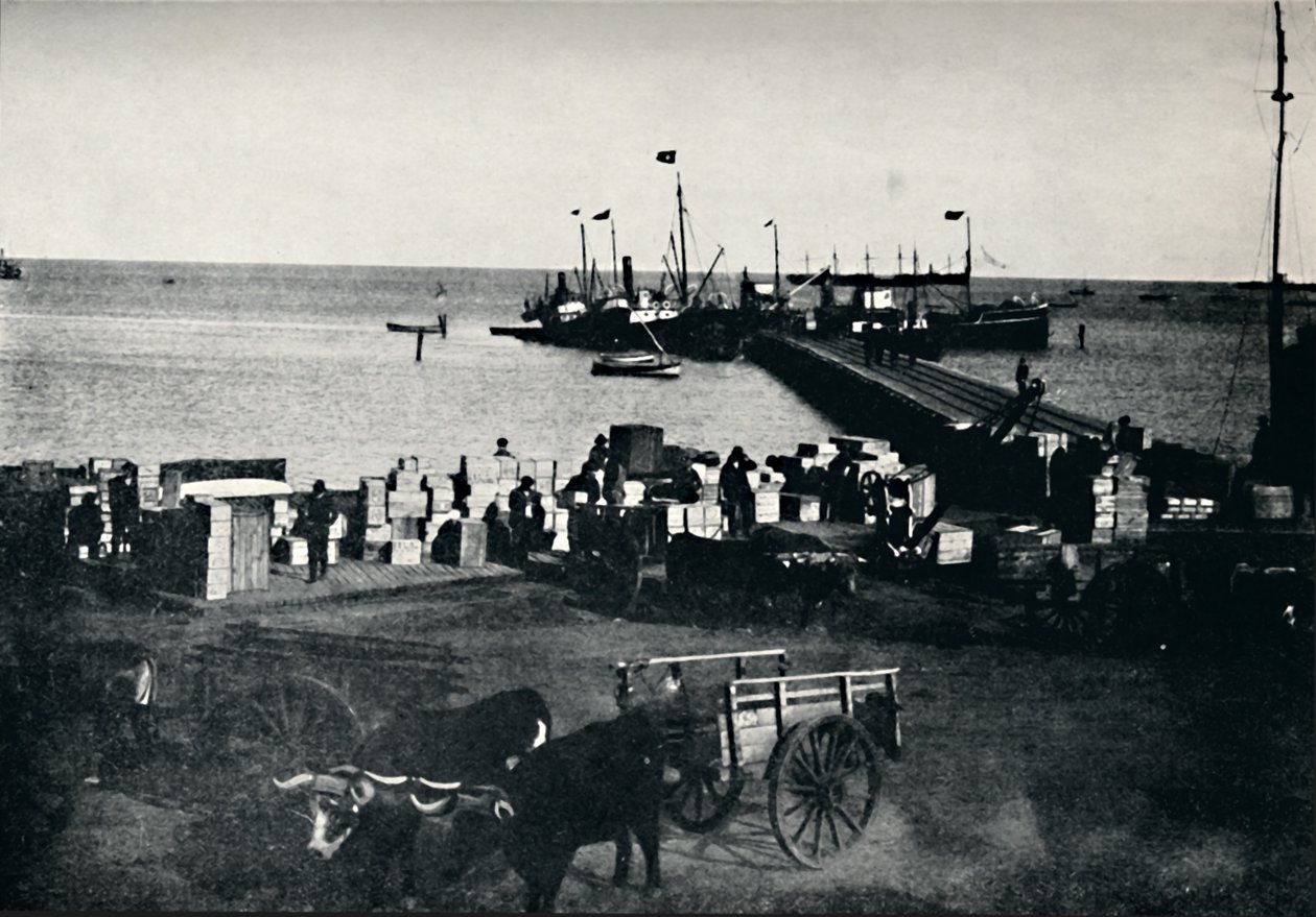 Leszállóhely, Punta Arenas, 1911 alkotó: Unbekannt