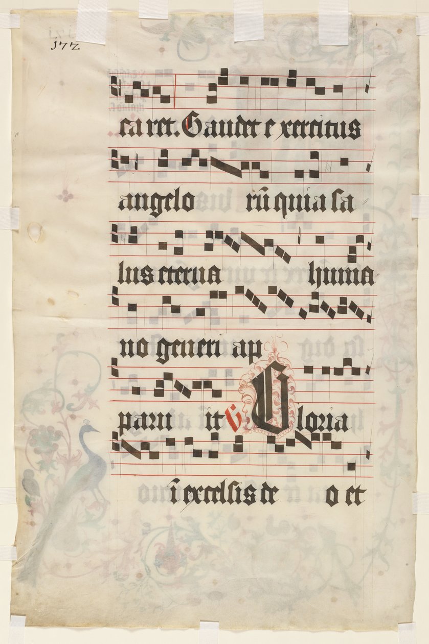 Levél egy antifóniából: Text verso, c. 1480. alkotó: Unbekannt