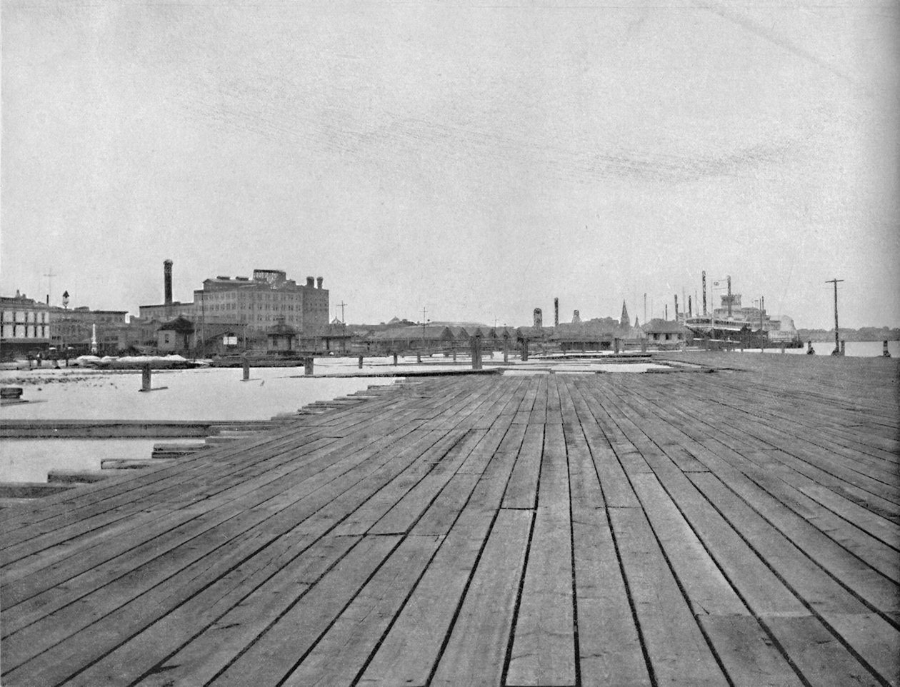 Levee and Steamboat Landing, New Orleans, 1897. alkotó: Unbekannt