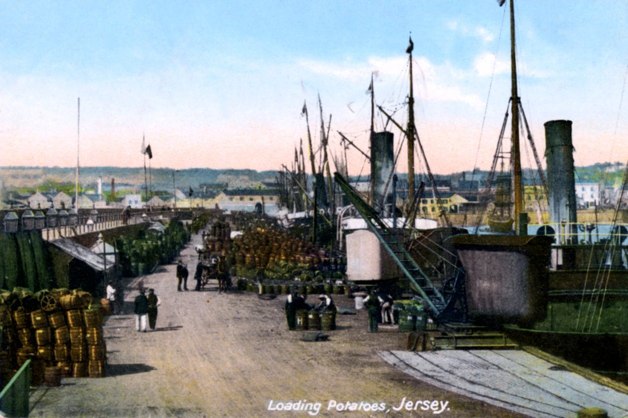 Loading Potatoes, Jersey, 1908 alkotó: Unbekannt