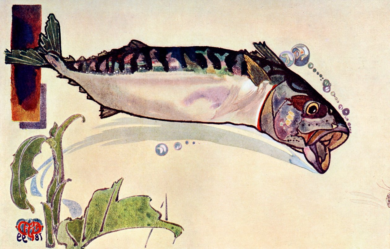 Makréla, 1900 alkotó: Unbekannt