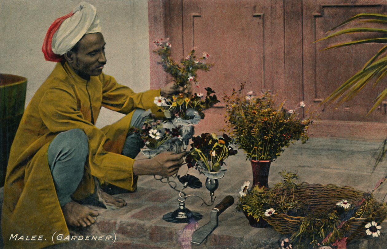 Malee. Kertész, 1910. alkotó: Unbekannt