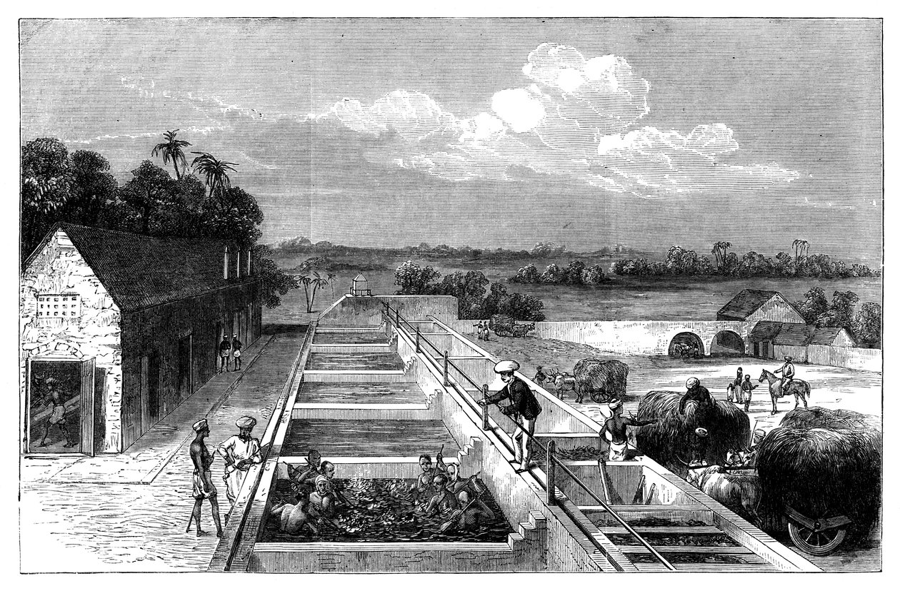 Indigó gyártása Tirhoot Muzaffarpurban, Alsó-Bengáliában, 1869 alkotó: Unbekannt