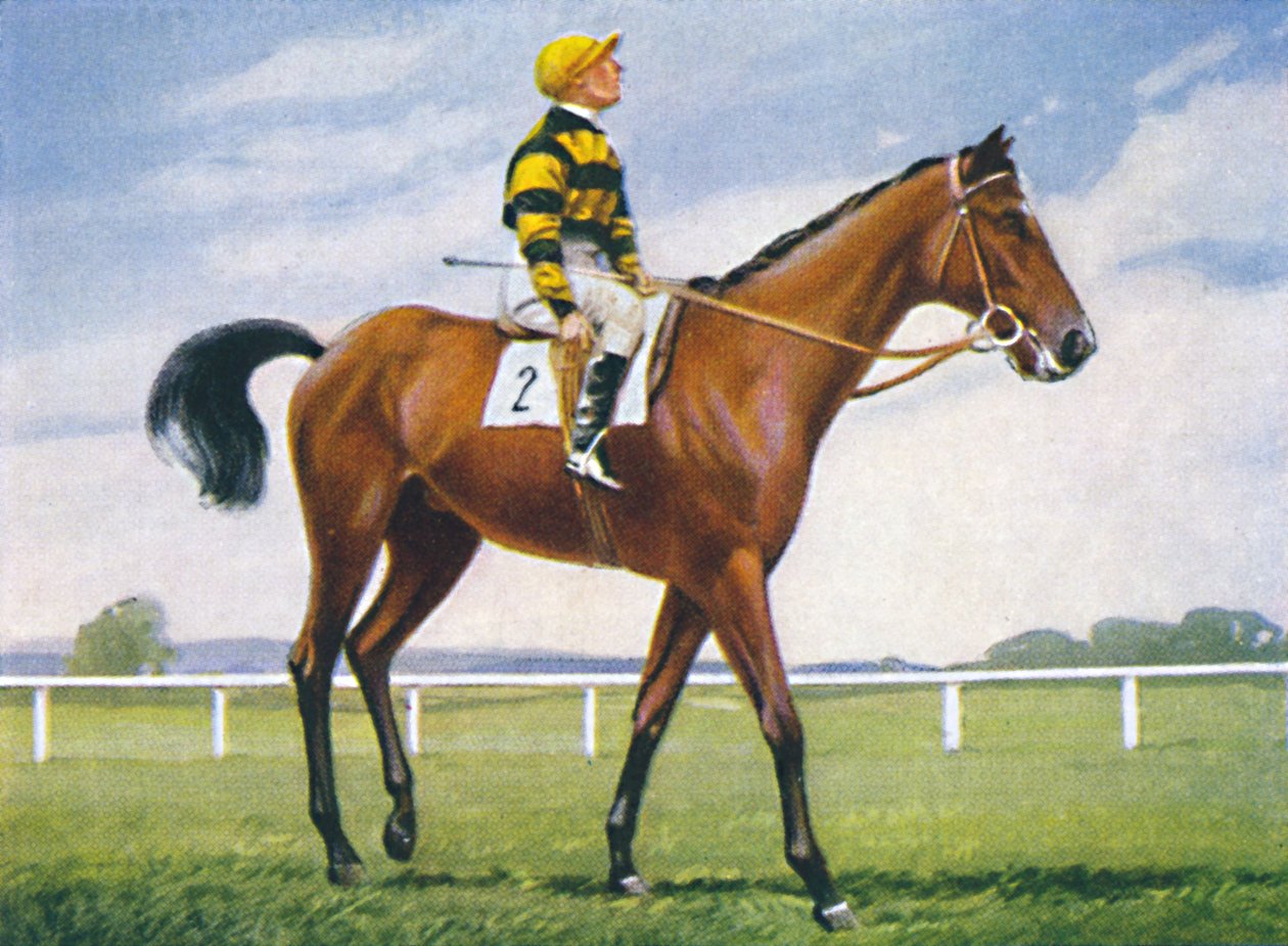 Meadow, Jockey: T. Weston, 1939 alkotó: Unbekannt