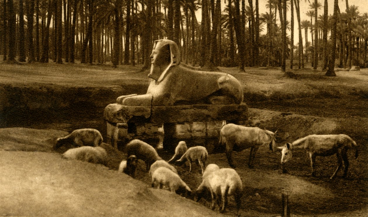 Memphis – Az alabástrom szfinx, c1918-c1939. alkotó: Unbekannt