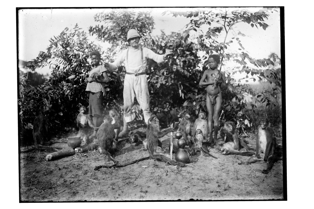 Majmok, 1910 körül (f/w fotó) alkotó: Unbekannt