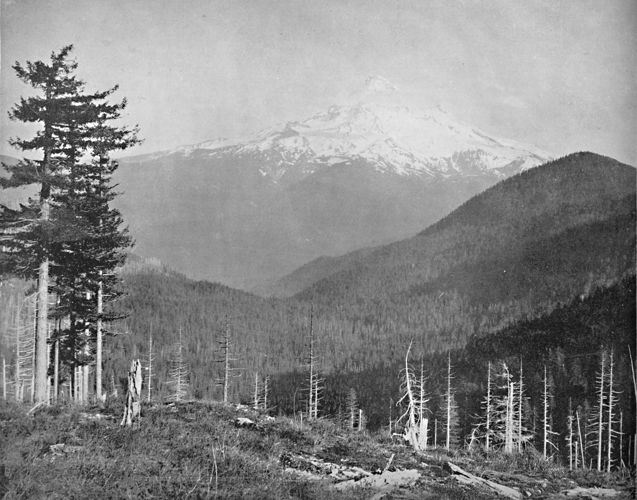 Mount Hood, Oregon, 1897. alkotó: Unbekannt
