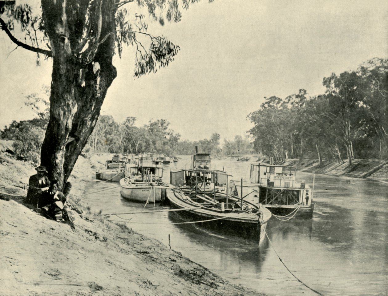 Murray bárkák és gőzhajók Echucában, 1901. alkotó: Unbekannt