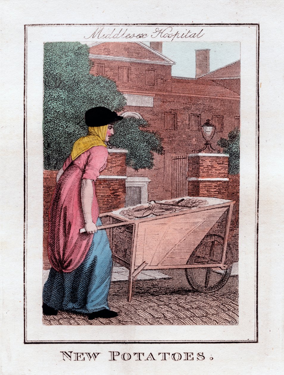New Potatoes, Middlesex Hospital, London, 1805 alkotó: Unbekannt