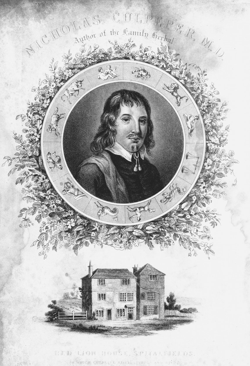 Nicholas Culpepper, 1650 19. század alkotó: Unbekannt