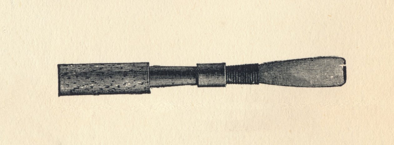 Emlékezz Ray d-re, 1895. alkotó: Unbekannt