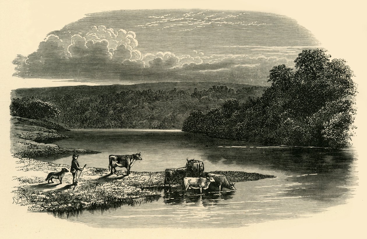 A Dee-n, 1890. alkotó: Unbekannt