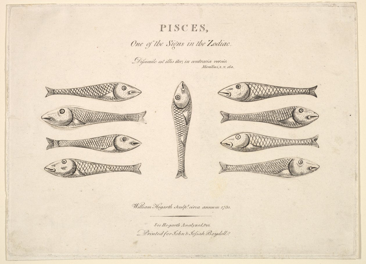 Halak: Hogarths Quadrille Fish, kb. 1730. alkotó: Unbekannt