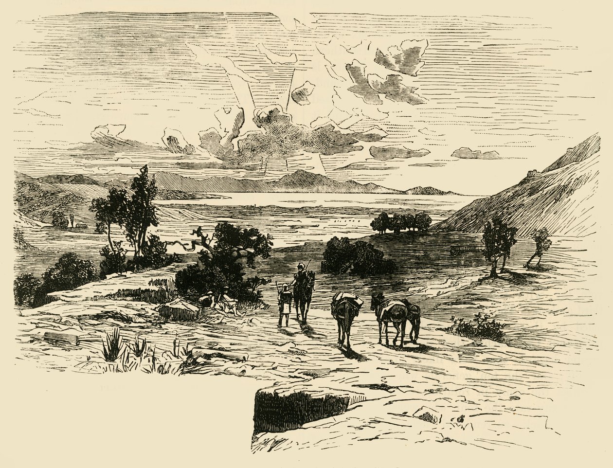 Marathoni síkság, 1890. alkotó: Unbekannt