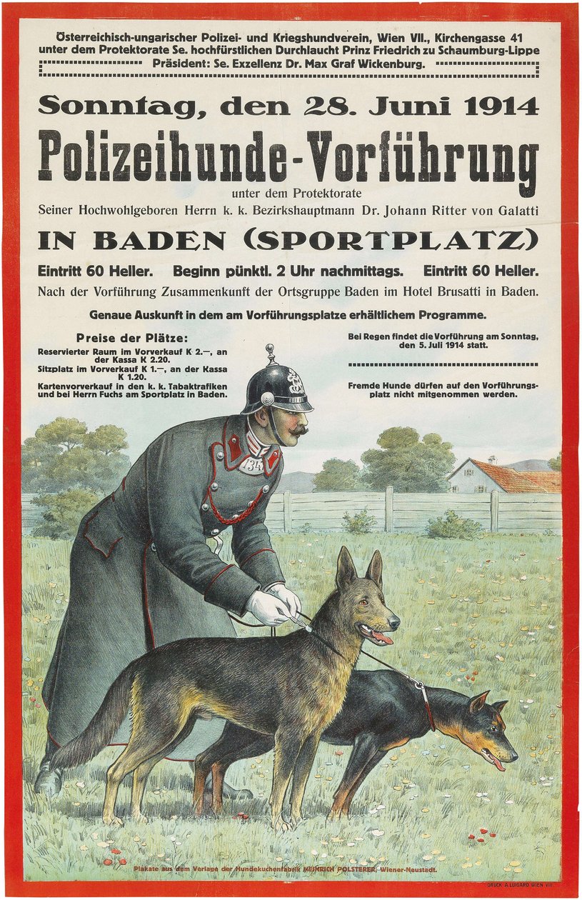 Rendőrkutya bemutató Badenben, 1914. alkotó: Unbekannt