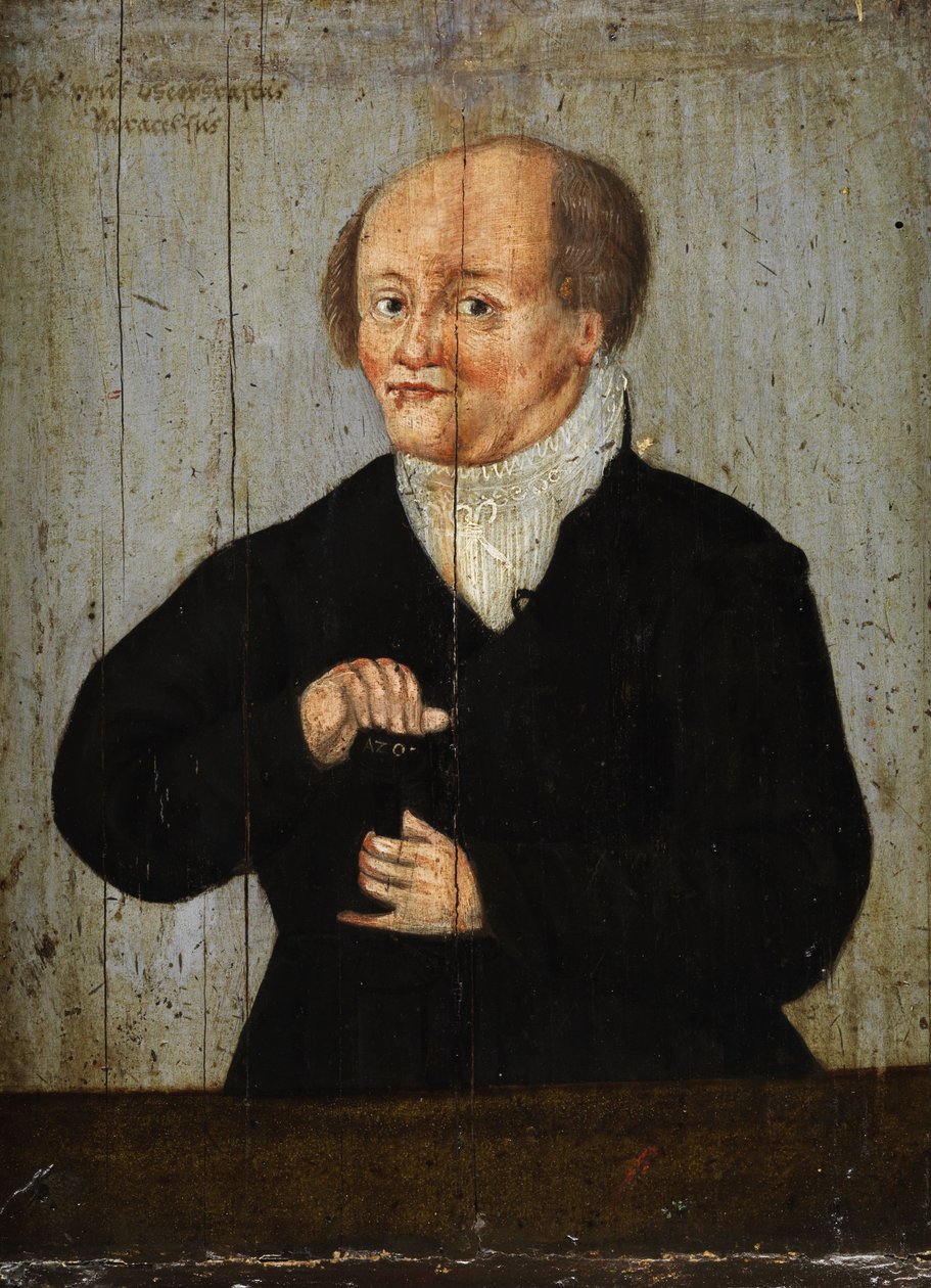 Paracelsus portréja alkotó: Unbekannt