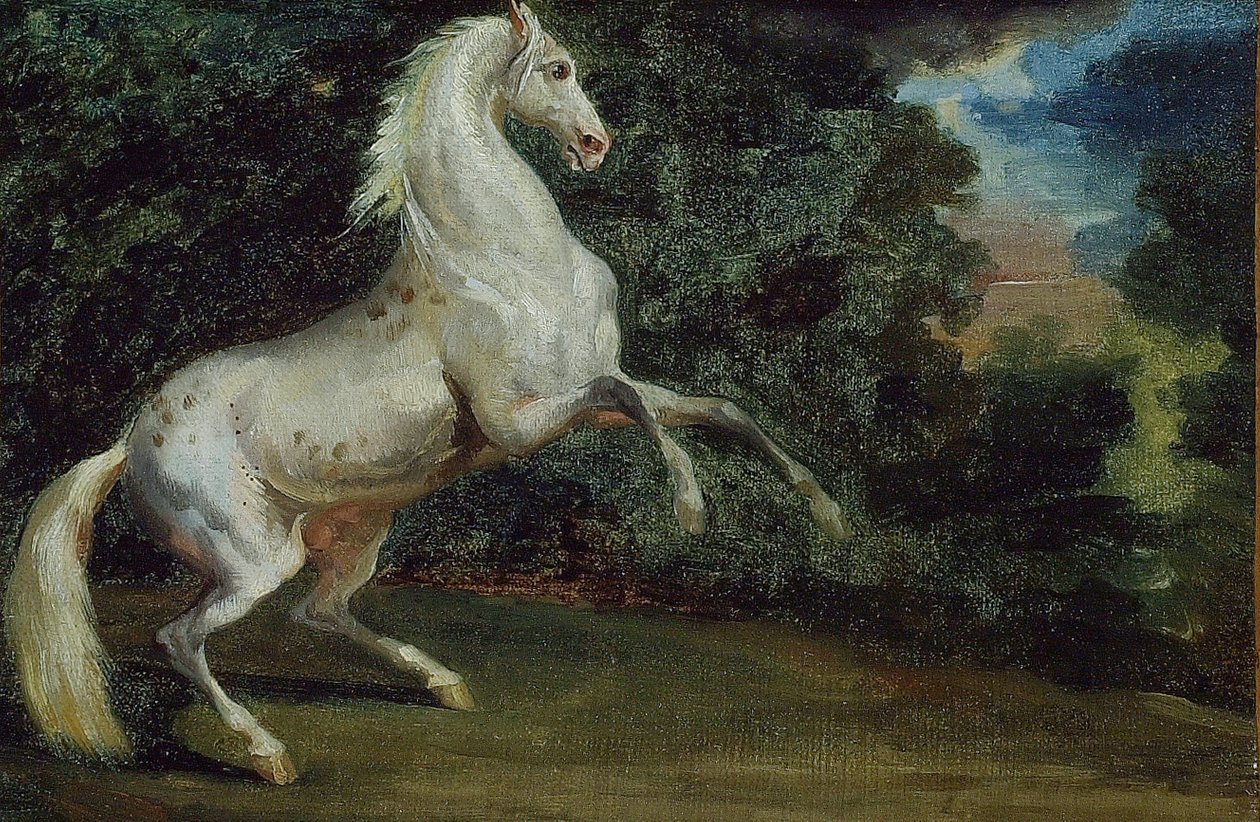 ugráló ló, 180812. alkotó: Unbekannt