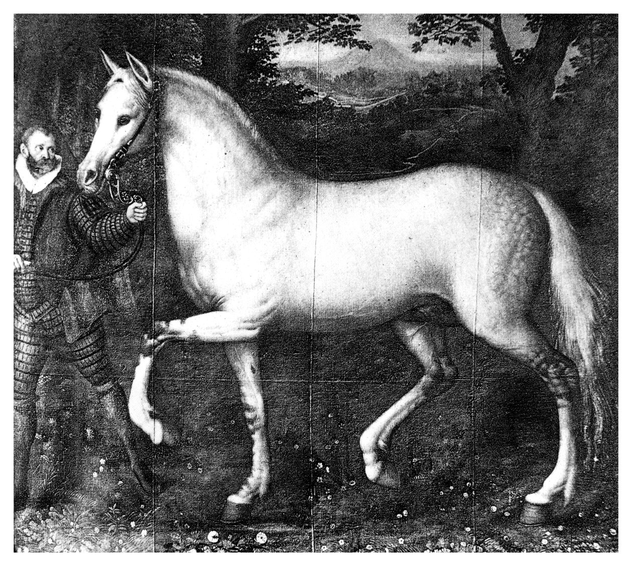 Erzsébet királynő ló, 1896 alkotó: Unbekannt