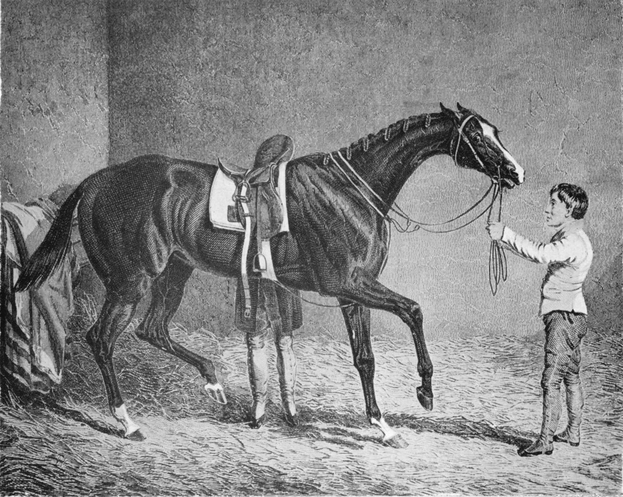 Trumpok királynője, 1832-1843, 1911 alkotó: Unbekannt